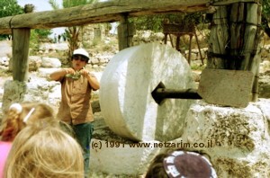 Ancient wheat mill at Khashmonayim